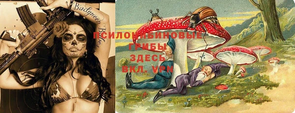 PSILOCYBIN Армянск