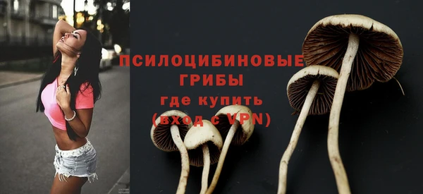 PSILOCYBIN Армянск